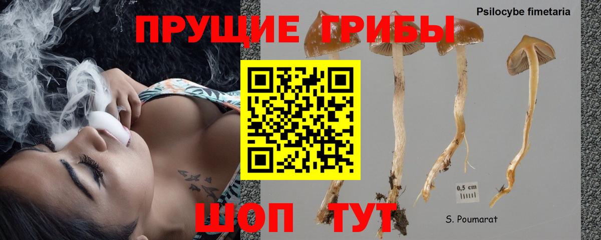 Галлюциногенные грибы прущие грибы Саянск