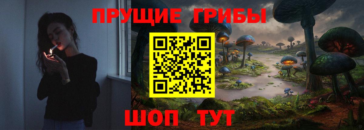 Галлюциногенные грибы GOLDEN TEACHER  Псилоцибиновые грибы MAGIC MUSHROOMS  Вход с VPN  Саянск 